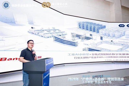 長沙市2024年產融對接會啟幕 人工智能與數據服務產業鏈迎來新機遇